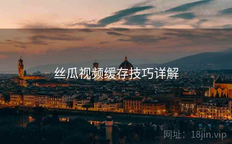 丝瓜视频缓存技巧详解  第2张