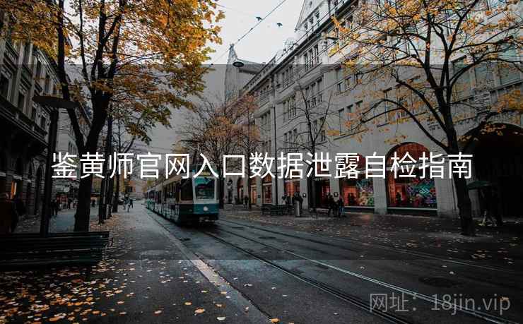 鉴黄师官网入口数据泄露自检指南  第1张