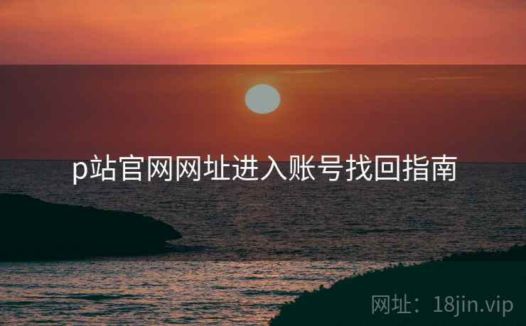 p站官网网址进入账号找回指南  第2张