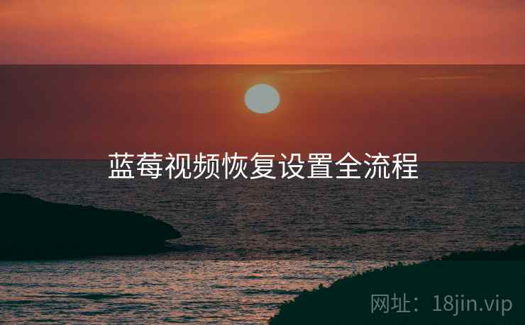 蓝莓视频恢复设置全流程  第1张