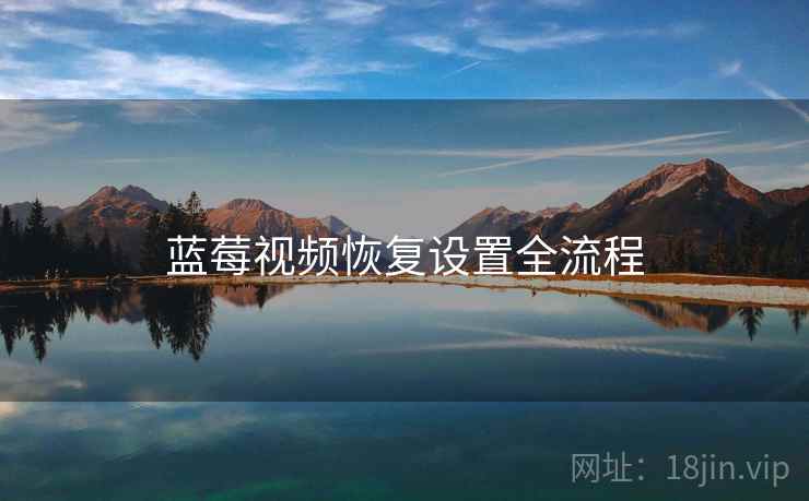 蓝莓视频恢复设置全流程  第2张
