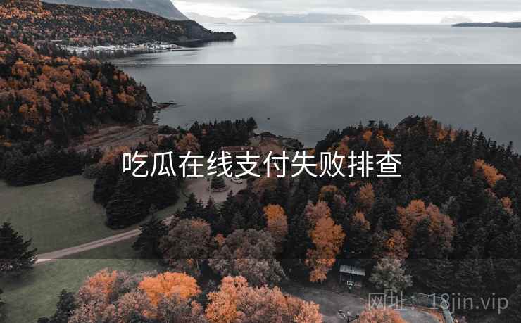 吃瓜在线支付失败排查  第2张