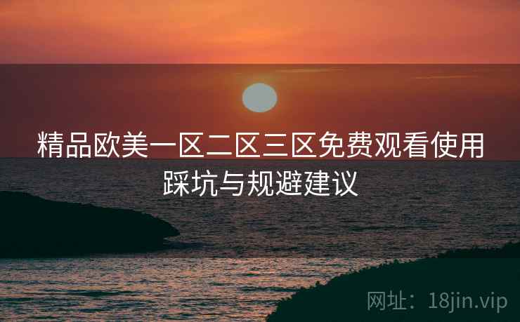 精品欧美一区二区三区免费观看使用踩坑与规避建议  第1张