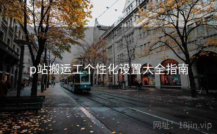 p站搬运工个性化设置大全指南  第2张