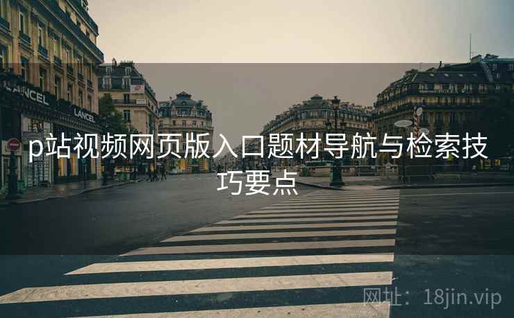 p站视频网页版入口题材导航与检索技巧要点  第2张
