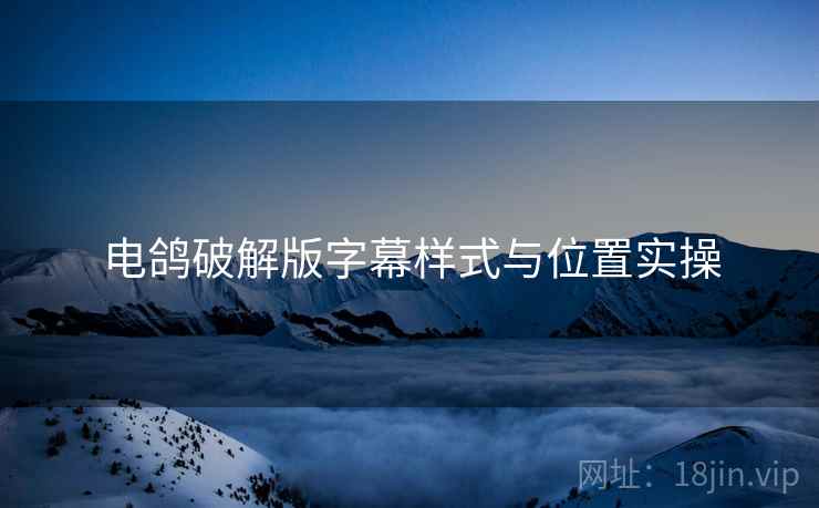 电鸽破解版字幕样式与位置实操