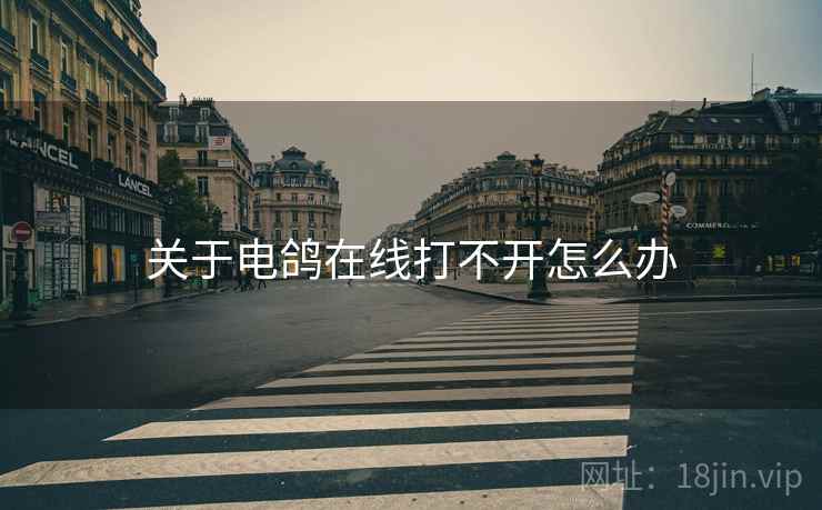 关于电鸽在线打不开怎么办  第1张