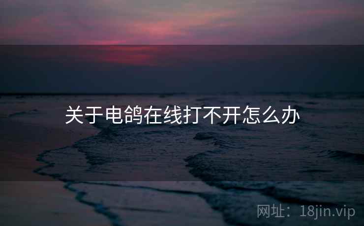 关于电鸽在线打不开怎么办  第2张