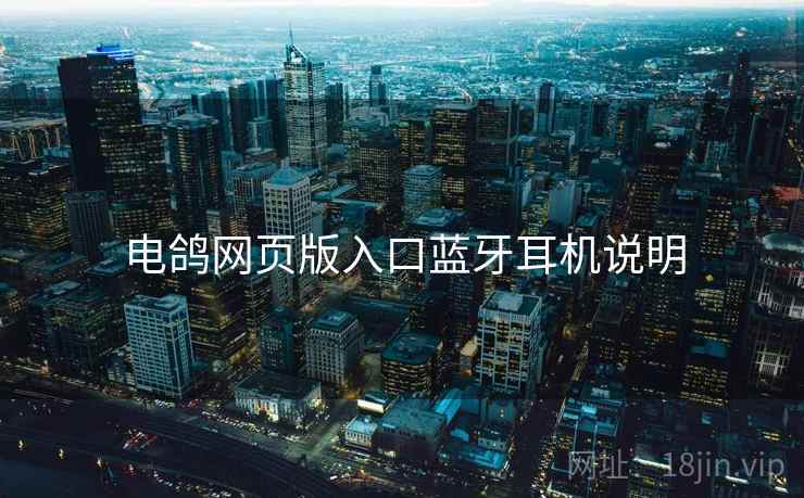 电鸽网页版入口蓝牙耳机说明  第1张