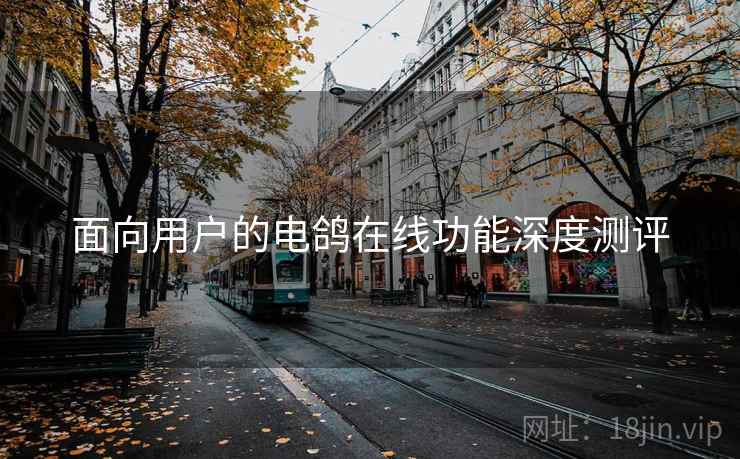 面向用户的电鸽在线功能深度测评  第2张