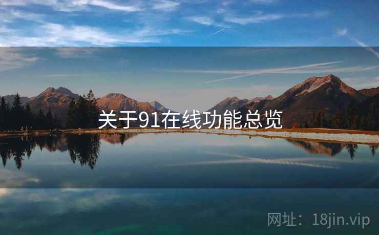 关于91在线功能总览  第2张
