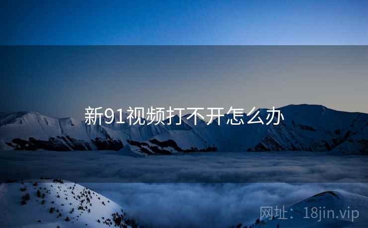 新91视频打不开怎么办  第2张