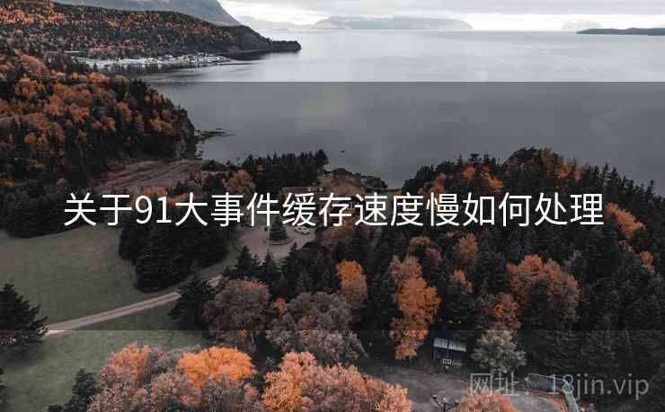 关于91大事件缓存速度慢如何处理  第1张