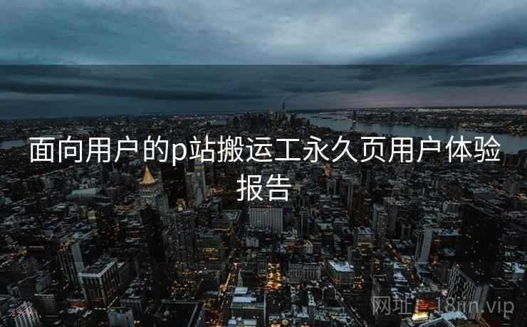 面向用户的p站搬运工永久页用户体验报告  第1张