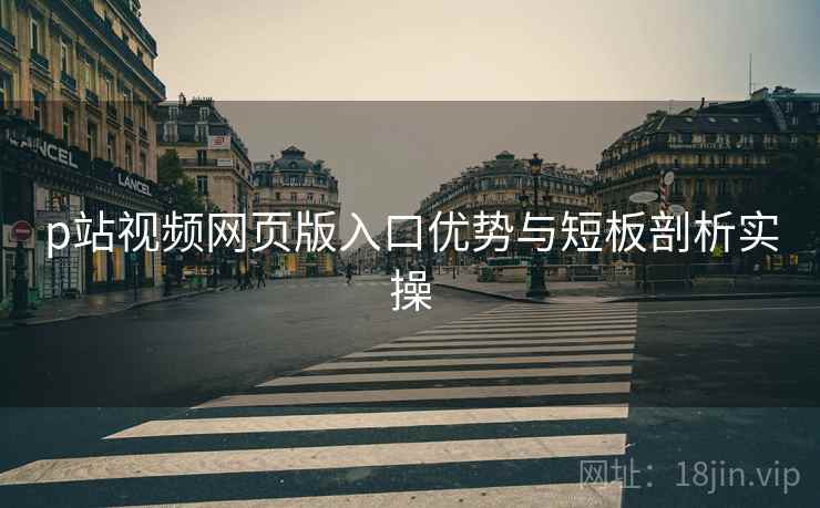 p站视频网页版入口优势与短板剖析实操  第1张