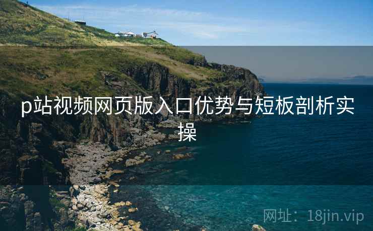 p站视频网页版入口优势与短板剖析实操  第2张