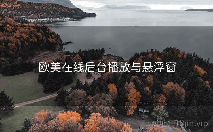 欧美在线后台播放与悬浮窗  第1张