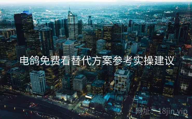 电鸽免费看替代方案参考实操建议  第2张