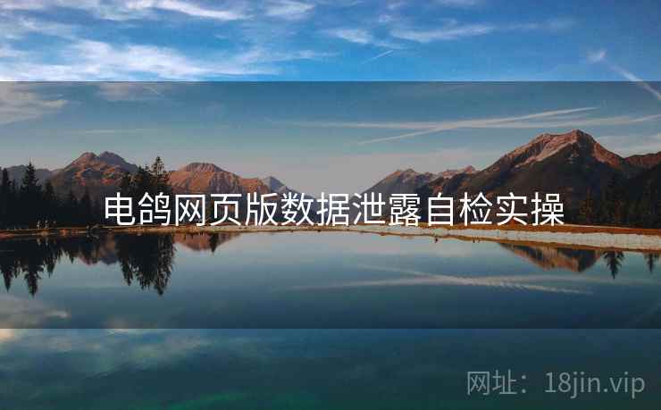 电鸽网页版数据泄露自检实操  第1张