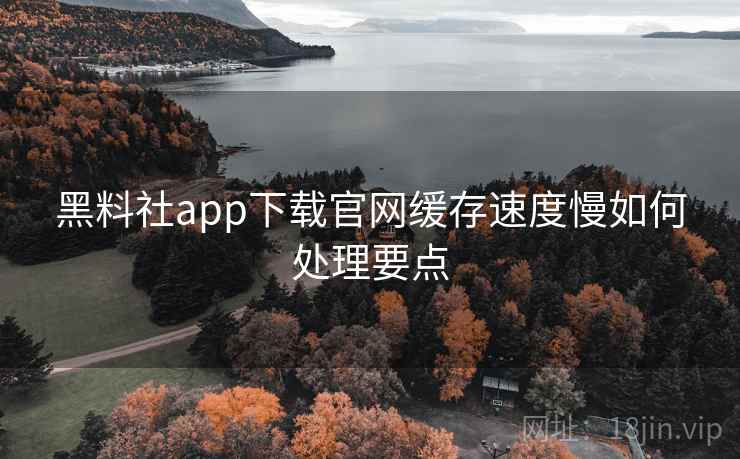 黑料社app下载官网缓存速度慢如何处理要点  第1张