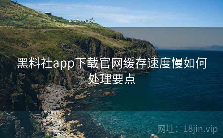 黑料社app下载官网缓存速度慢如何处理要点  第2张