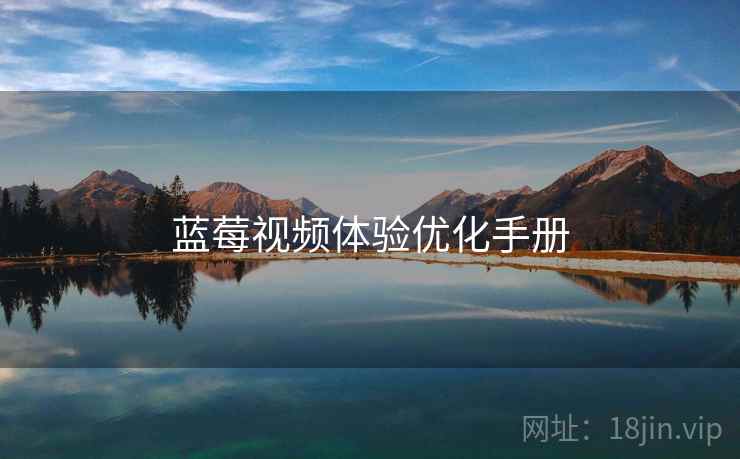 蓝莓视频体验优化手册  第1张