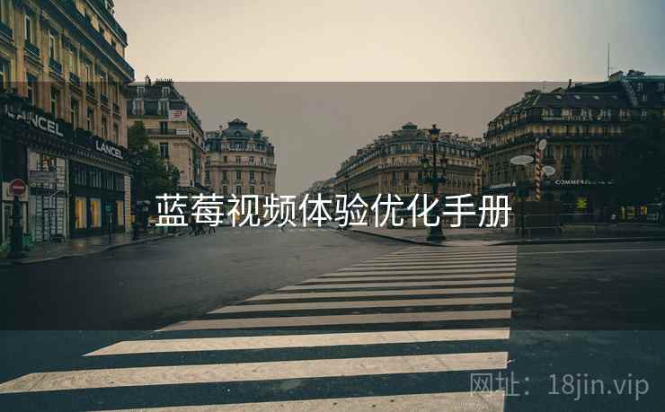 蓝莓视频体验优化手册  第2张