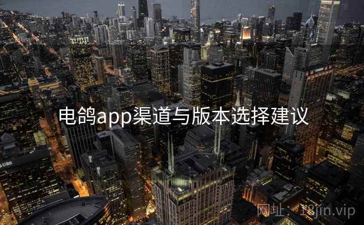 电鸽app渠道与版本选择建议  第2张