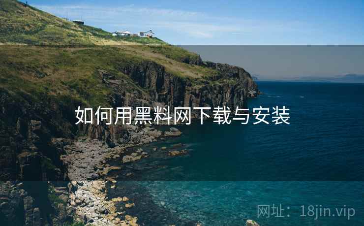 如何用黑料网下载与安装  第2张