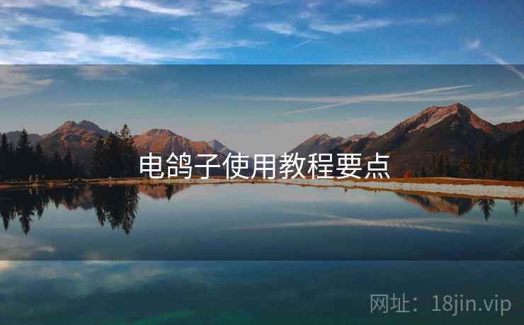 电鸽子使用教程要点  第1张